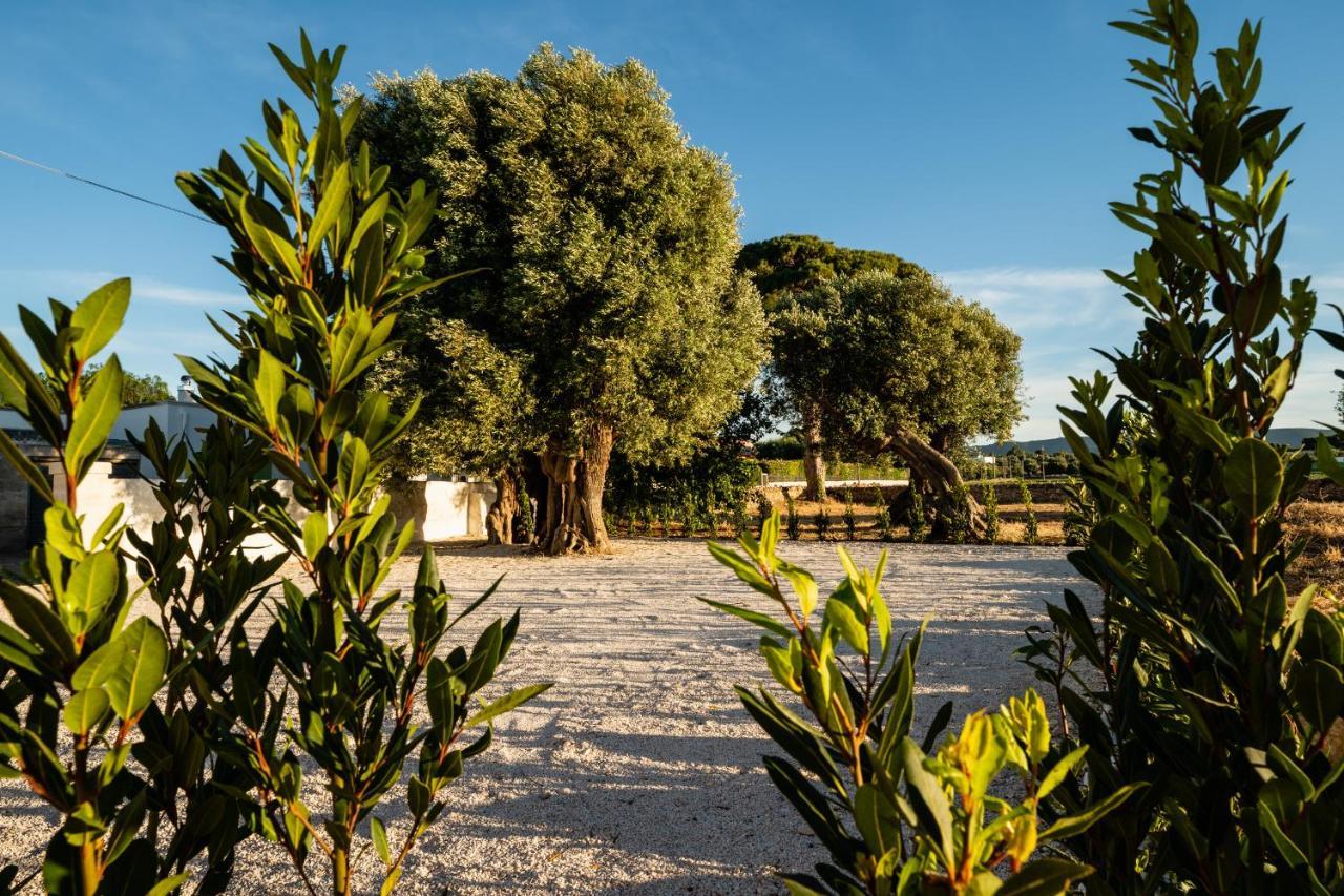 Willa Il Pergolato Sul Mare Monopoli Zewnętrze zdjęcie